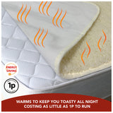 Teddy Electric Heated Blanket - TheHugSnugStore